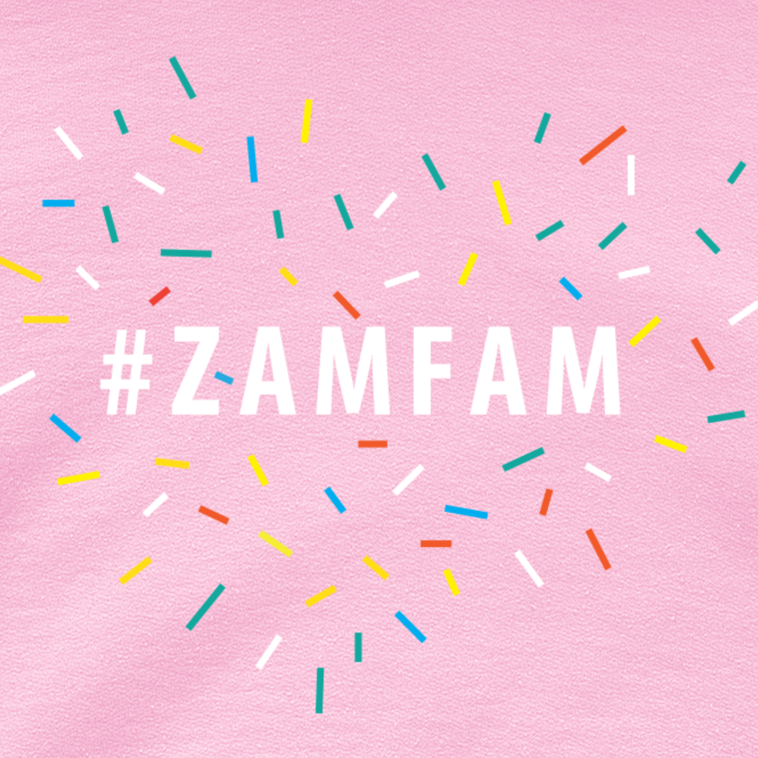 Close up of the pink hoodie with a Zamfam design and confetti.