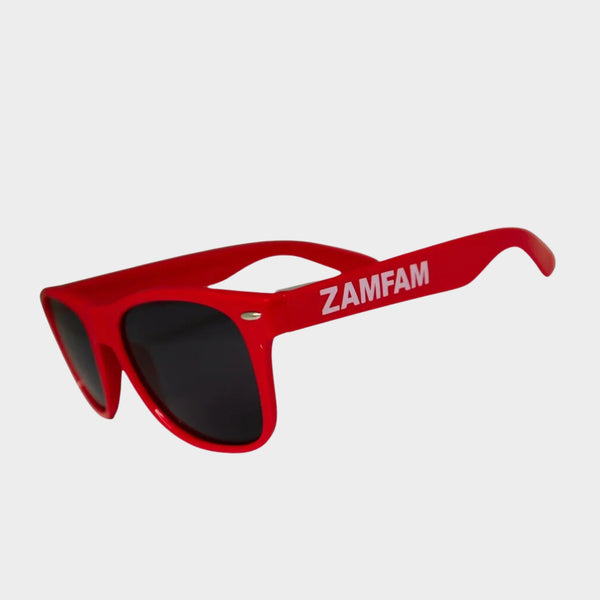 ZAMFAM Hot Pink Sunglasses | Rebecca Zamolo